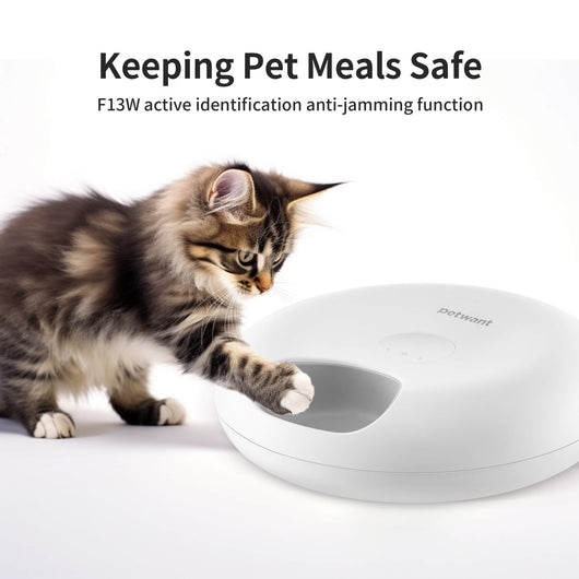 Comedero Automático Inteligente Donut Frost WiFi 6 para Gatos y Perros con Control por App - Image 12