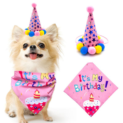 Banderín Triangular para Primer Cumpleaños de Mascotas - Image 4