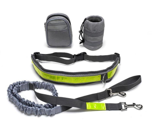 Correa Ajustable Manos Libres para Perros - Image 5