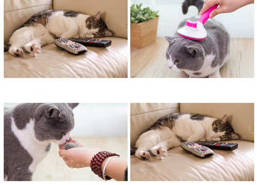 Peine Deslanador para Gatos de Pelo Largo - Image 11