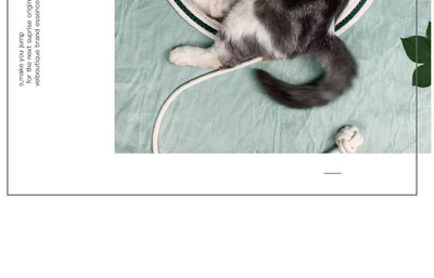 Nido de Ratán para Gatos Resistente sin Pelusa - Image 22