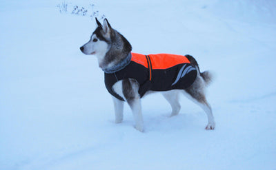 Abrigo Acolchado de Plumón para Perros - Cálido y Elegante - Image 14