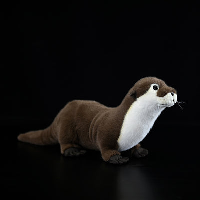 Peluche Nutria Adorable - Image 6