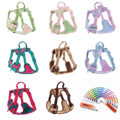 Pink and blue dog harness with padded chest and back, adjustable straps, and a top handle for walking. - Image 11