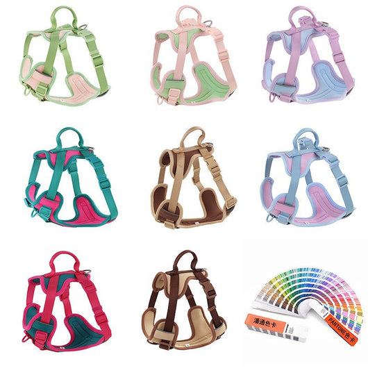 Pink and blue dog harness with padded chest and back, adjustable straps, and a top handle for walking. - Image 11