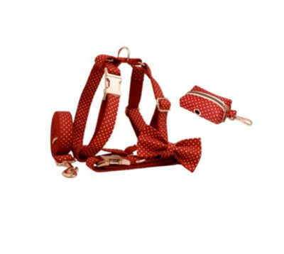Collar y Correa para Perro Red Dot - Suministros de Mascotas Premium - Image 9