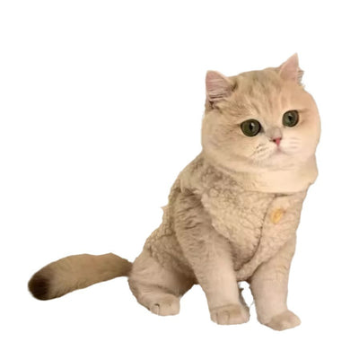 Chaleco Abrigador de Lana de Cordero para Gatos - Diseño Cálido e Adorable - Image 4