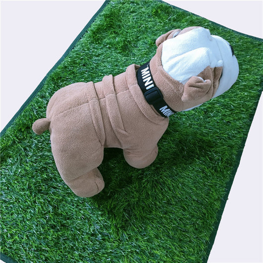 Tapete Entrenador de Pasto Artificial para Perros - Lavable Interior y Exterior - Image 7
