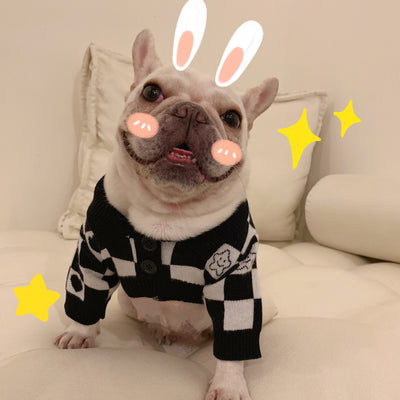 Suéter Invernal para Perros y Gatos - Diseño Schnauzer - Image 10