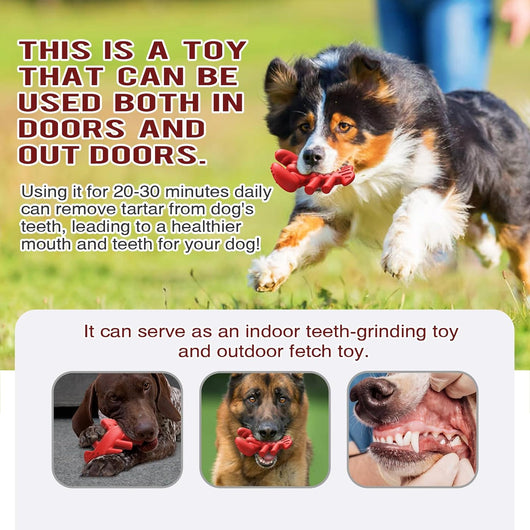 Juguete Masticable Resistente para Perros Grandes y Medianos - Limpieza Dental y Diversión - Image 9