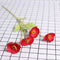 4 Flower Rojo