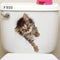 Gato 4