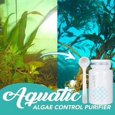 Eliminador de Algas y Musgo para Piscinas - Image 2