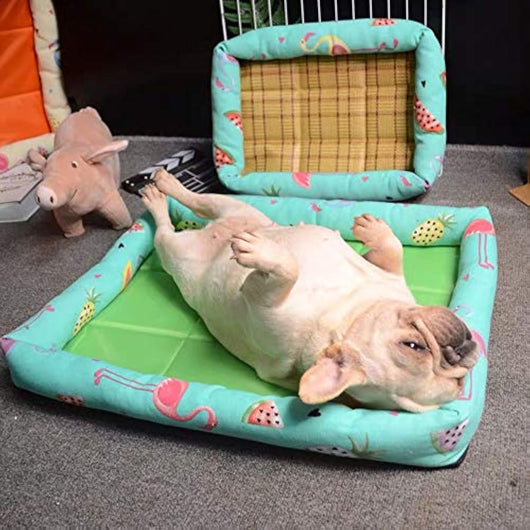 Cama Reversible Resistente para Perros Pequeños y Medianos, Ideal para Verano - Image 7