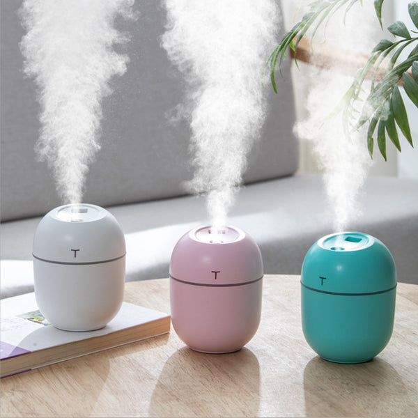 White egg-shaped mini USB humidifier with a 220ml capacity, featuring a subtle 'T' logo and grey accent line.