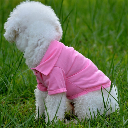 Polo de Algodón para Perros - Camisa Casual Cómoda y Elegante - Image 3