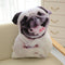 Bulldog 50 Cm