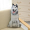 Husky 50 Cm
