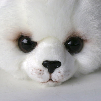 Peluche Foca Realista - Image 5