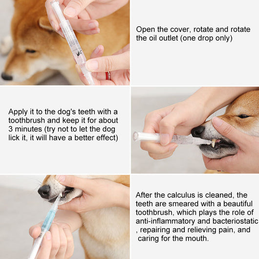 Kit Profesional de Limpieza y Reparación Dental para Perros y Gatos - Image 6