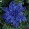 Azul 10 Piezas