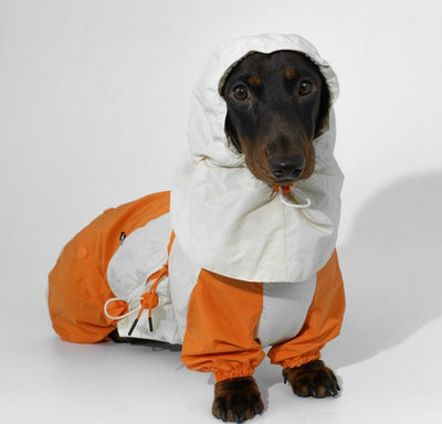 Ropa de Invierno a Juego para Mascotas - Image 12