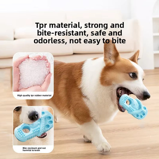 Juguetes de Goma para Masticar Perros - Pantuflas Dentales para Cachorros - Image 15