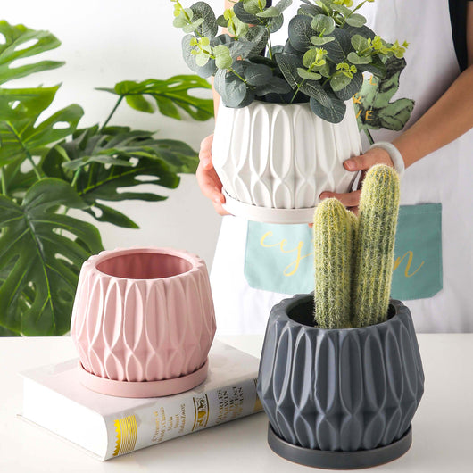 Maceta de Cerámica para Plantas de Escritorio - Image 3