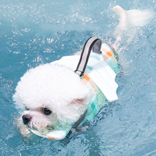 Chaleco Salvavidas para Perros - Pequeño, Mediano y Grande - Image 2