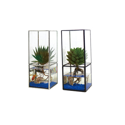 Maceta Vintage de Cristal para Suculentas y Flores - Image 14