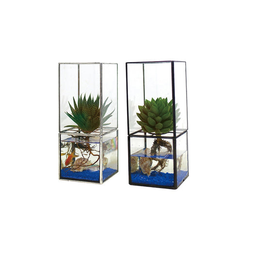 Maceta Vintage de Cristal para Suculentas y Flores - Image 14