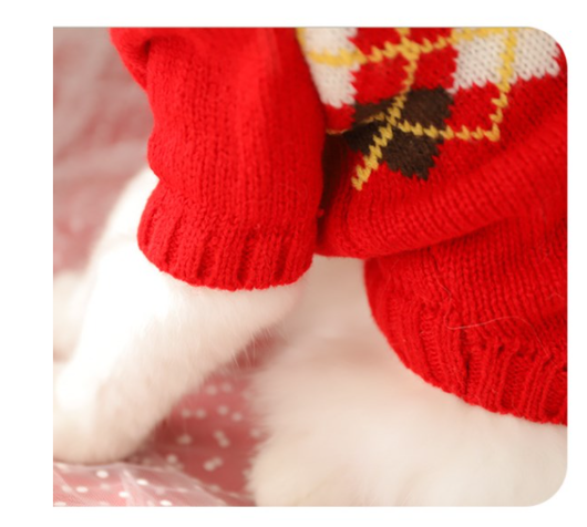 Suéter Otoño Invierno para Gatos - Prevención de Caída de Pelo - Image 16