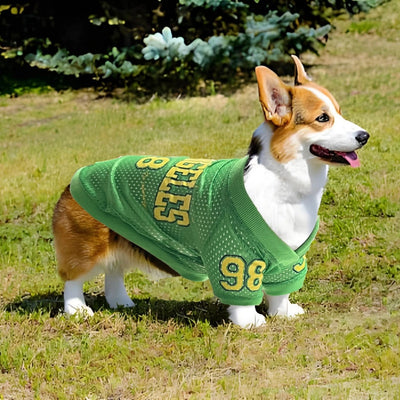 Uniforme de Protección Solar para Perros - Camiseta Deportiva UV - Image 9