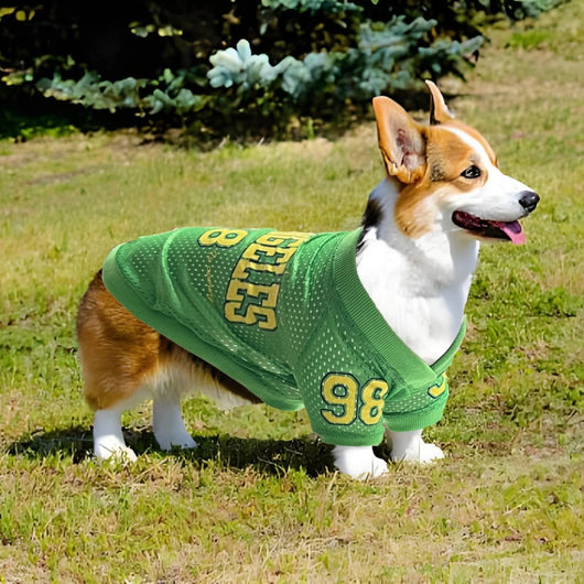 Uniforme de Protección Solar para Perros - Camiseta Deportiva UV - Image 9