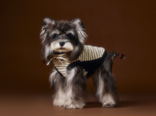 Suéter Tejido sin Mangas para Perros Pequeños Bichón Maltés York - Image 8