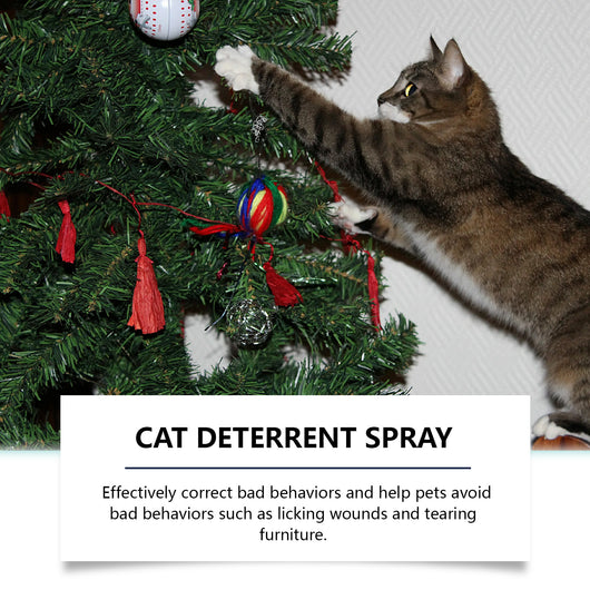 Spray Disuasivo Anti-Mordidas para Perros y Gatos - Protector de Muebles - Image 3