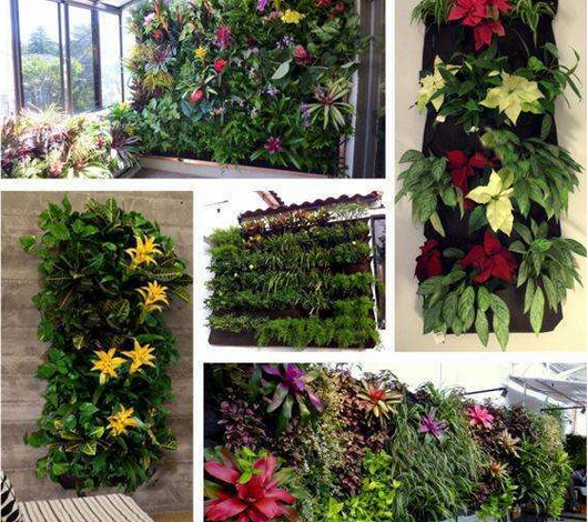 Macetas Colgantes Verticales para Jardín Interior y Exterior - Image 2