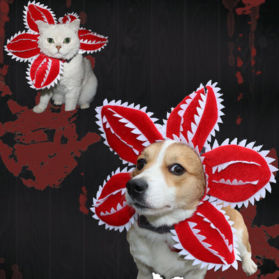 Diadema Floral Divertida para Gatos - Accesorio Cómico