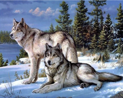 Pintura de Diamantes 5D - Lobo en la Nieve - Image 7