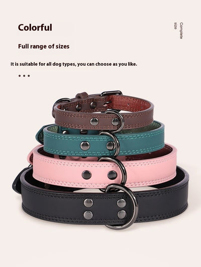 Teal leather pet collar with white stitching, dark metal buckle, and D-ring, displayed on a brown surface. - Image 17