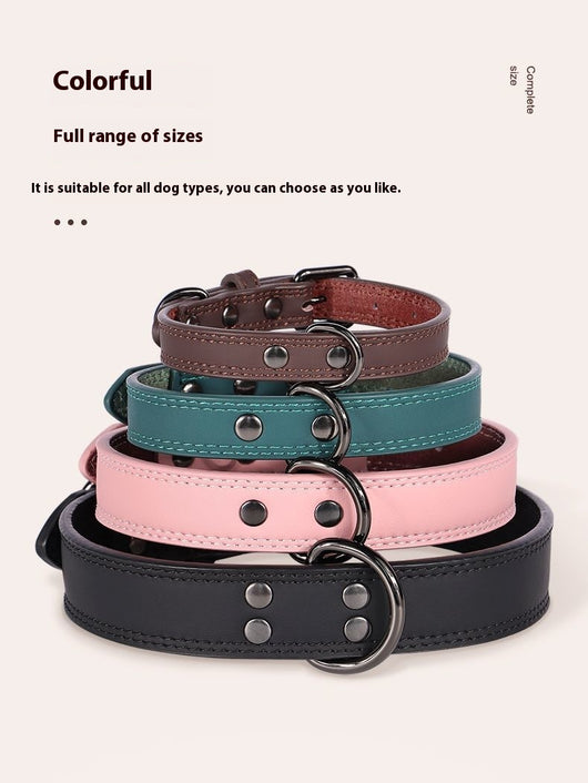 Teal leather pet collar with white stitching, dark metal buckle, and D-ring, displayed on a brown surface. - Image 17