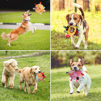 Juguetes Interactivos para Perros con Sonidos y Pelotas Chirriantes - Image 8