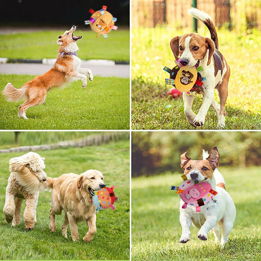 Juguetes Interactivos para Perros con Sonidos y Pelotas Chirriantes - Image 8