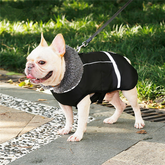 Chaleco Térmico Acolchado para Perros - Image 2