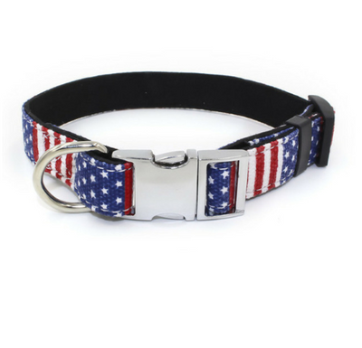 Collar Ajustable con Cierre Rápido de Metal para Perros Pequeños y Medianos - Image 6