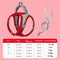 Red L Rope length