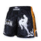 Pantalones de Boxeo y Sanda - Traje de Entrenamiento Profesional
