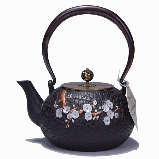 Tetera de Hierro Fundido Artesanal Sin Recubrimiento para Té Kung Fu - Image 27