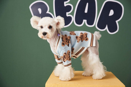 Suéter Preppy a Rayas para Perros y Gatos - Chaleco V-Neck Cálido de Invierno - Image 7