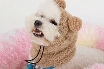 Gorro Térmico Ajustable para Mascotas con Pompón de Peluche - Image 5